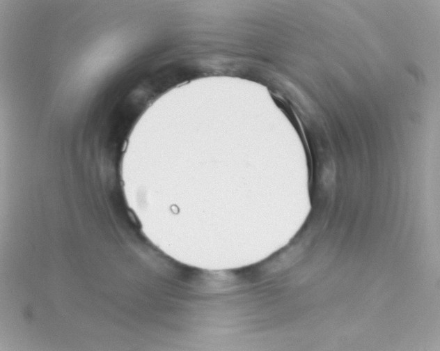 X0000114400429200911271520