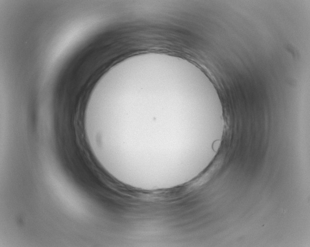 X0000114400430200911271520