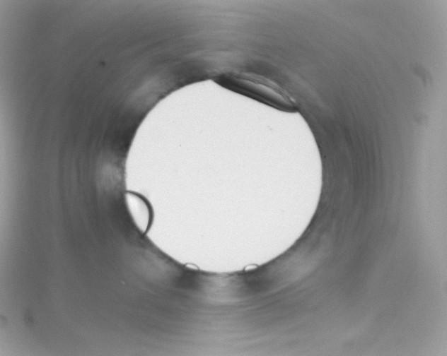 X0000114400432200911271520