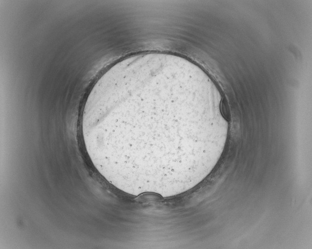 X0000114400434200911271520