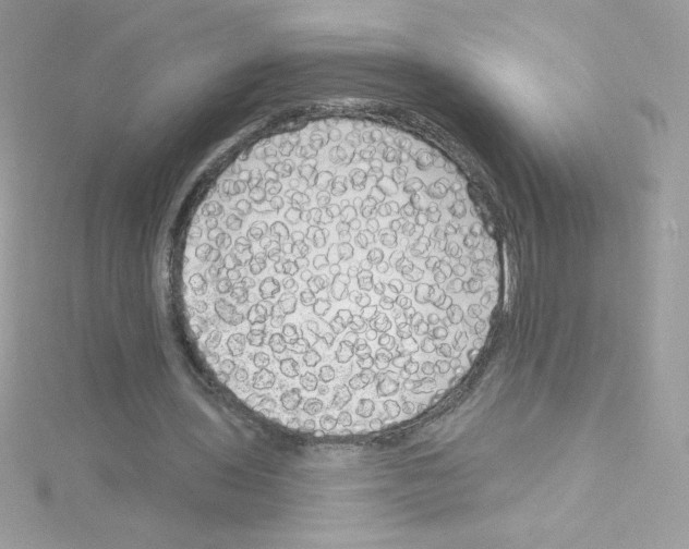 X0000114400435200911271520