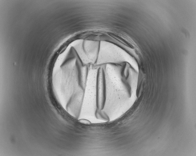 X0000114400436200911271520