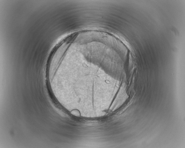 X0000114400438200911271520