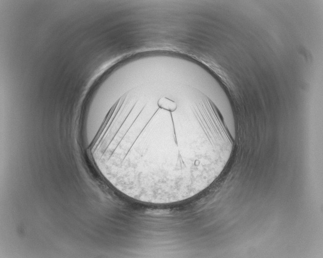 X0000114400440200911271520