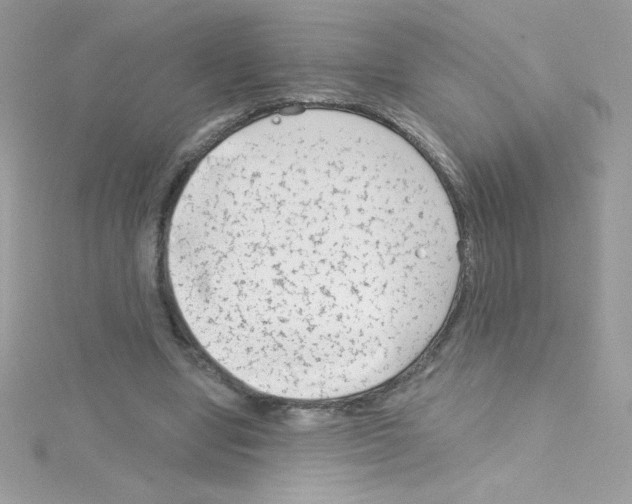 X0000114400442200911271520