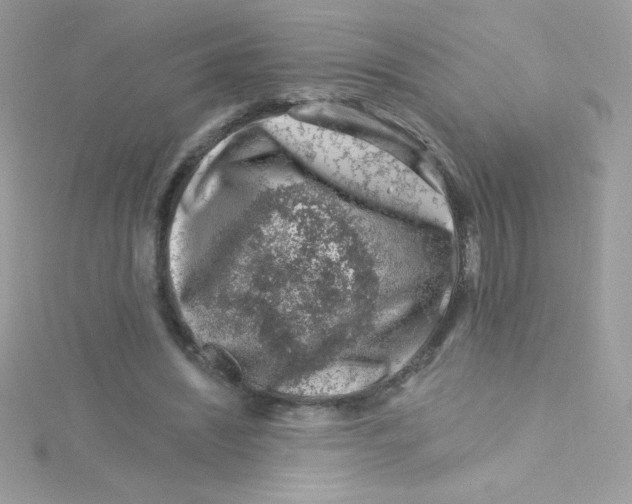 X0000114400444200911271520