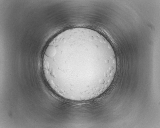 X0000114400447200911271520