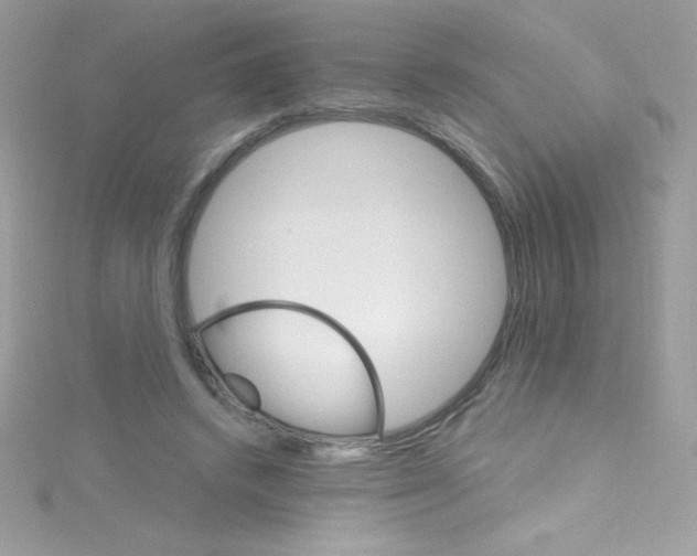 X0000114400448200911271520