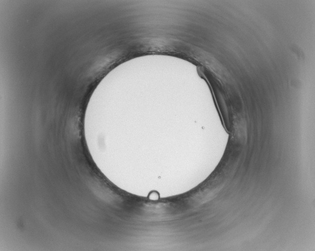 X0000114400450200911271520