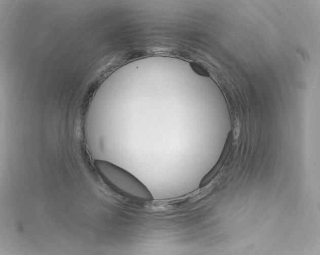 X0000114400452200911271520