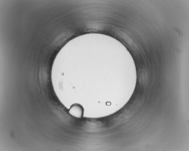 X0000114400455200911271520