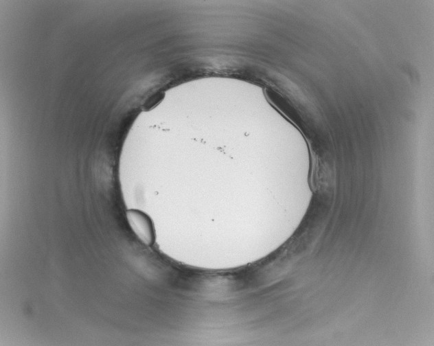 X0000114400456200911271520