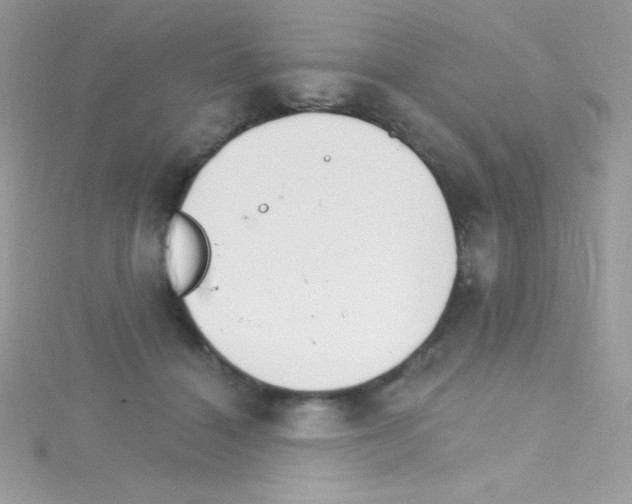 X0000114400460200911271520