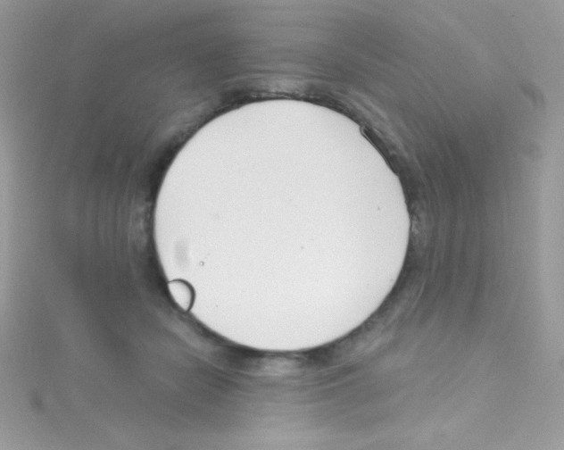 X0000114400462200911271520