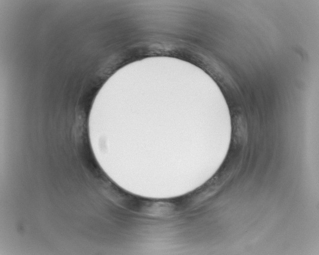 X0000114400463200911271520