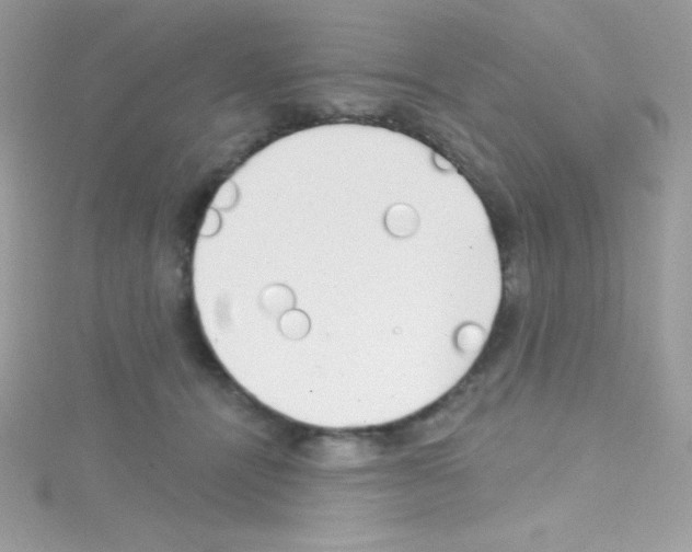 X0000114400464200911271520