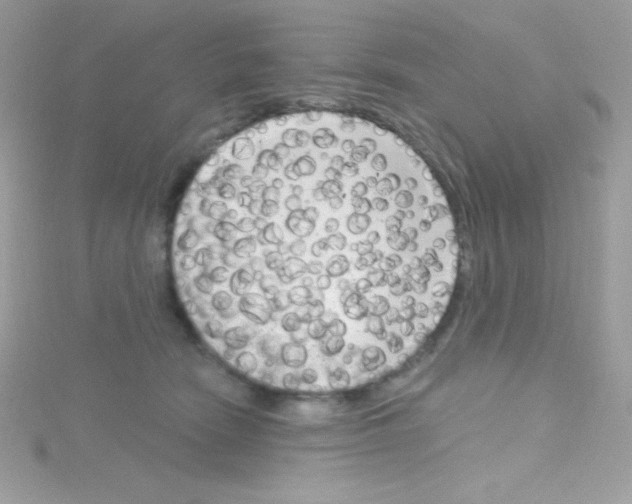 X0000114400466200911271520