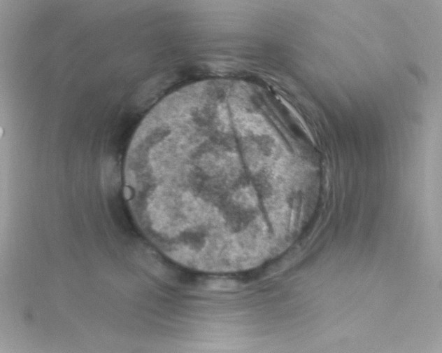 X0000114400471200911271520