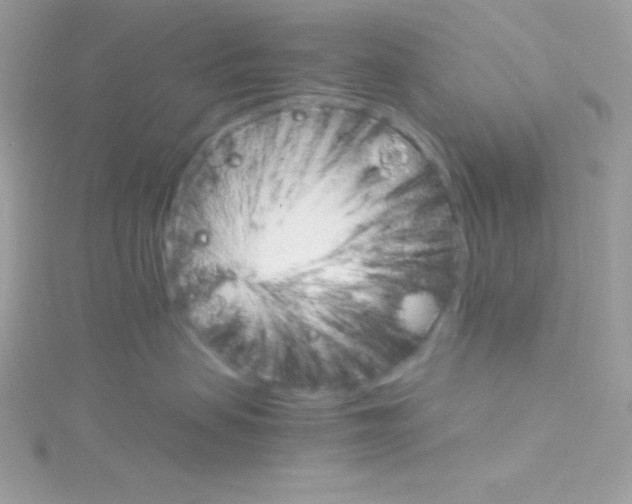 X0000114400479200911271520