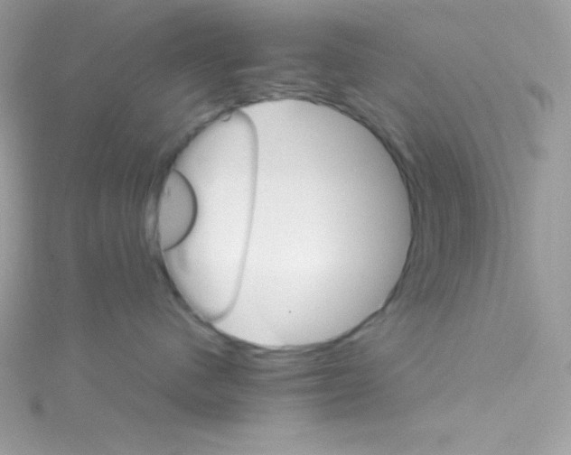 X0000114400480200911271520