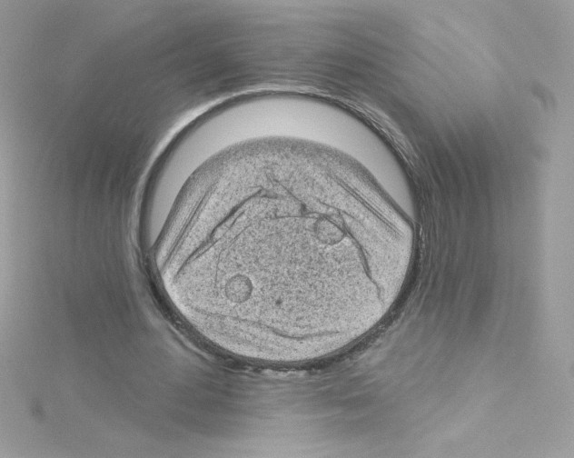 X0000114400484200911271520