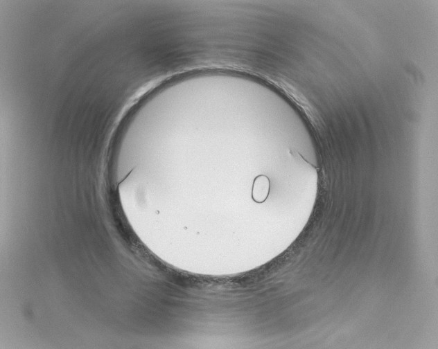 X0000114400488200911271520