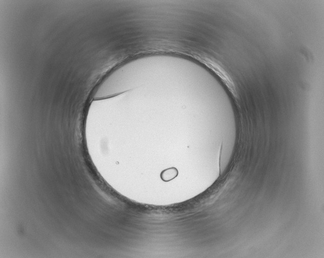 X0000114400489200911271520