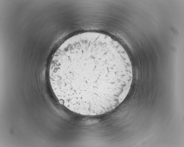 X0000114400491200911271520