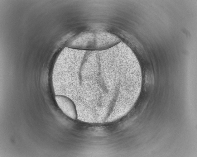 X0000114400492200911271520