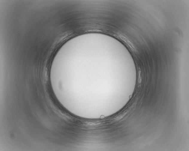 X0000114400494200911271520