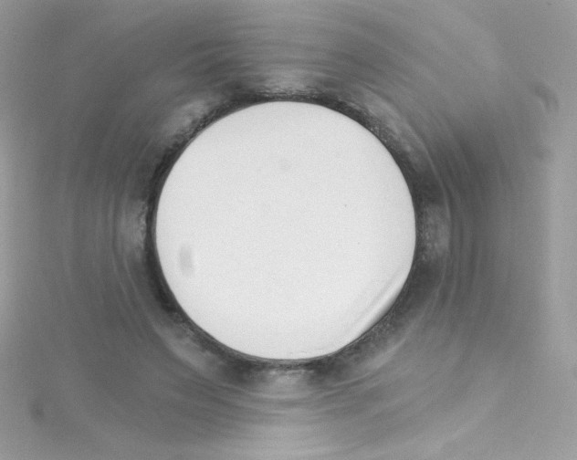 X0000114400495200911271520