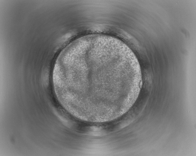 X0000114400496200911271519