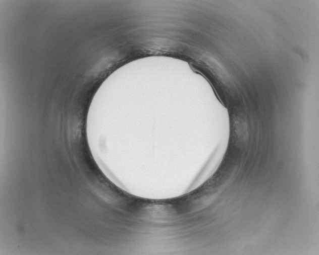 X0000114400499200911271519