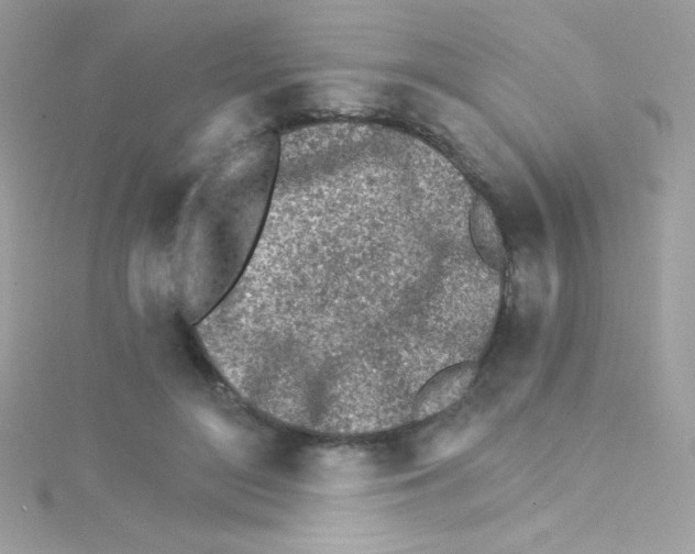 X0000114400500200911271519