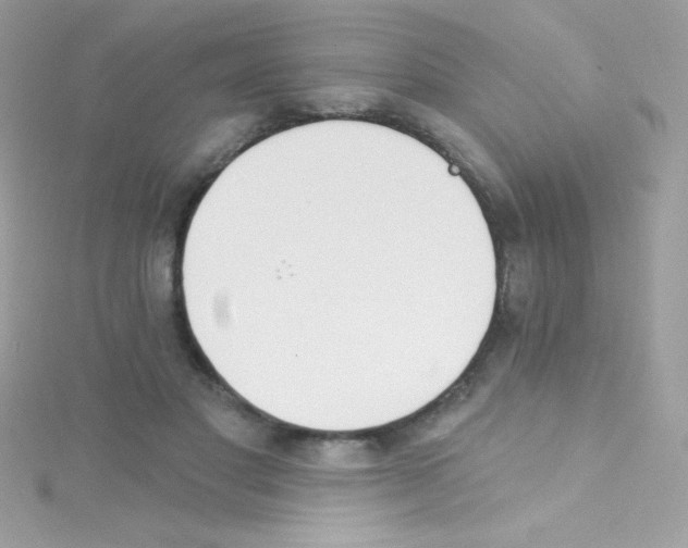 X0000114400501200911271519