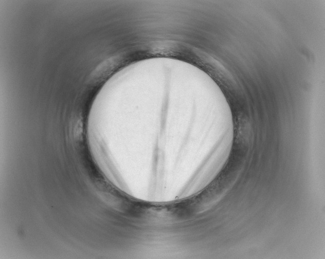 X0000114400502200911271519