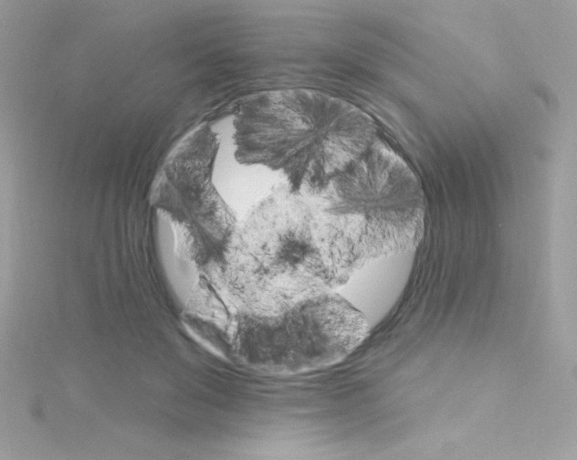 X0000114400503200911271519