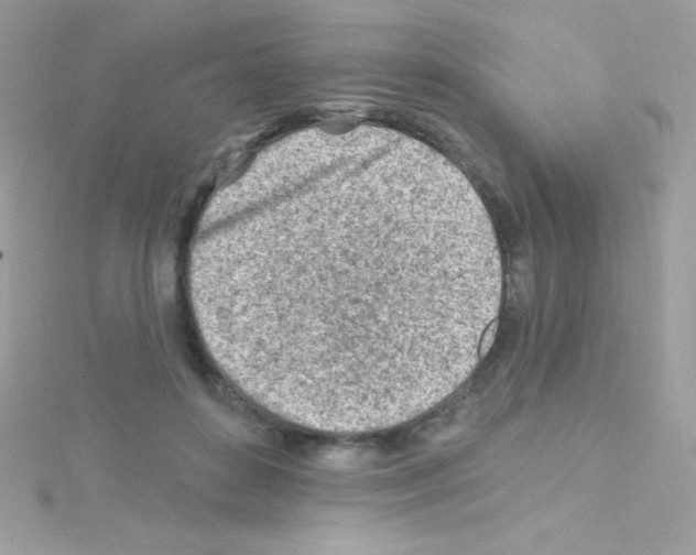 X0000114400504200911271519