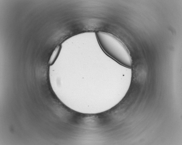 X0000114400505200911271519