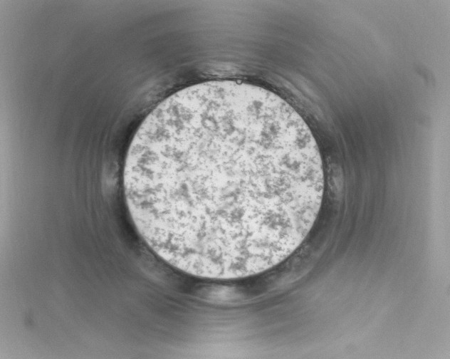 X0000114400507200911271519