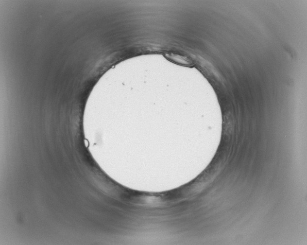 X0000114400509200911271519