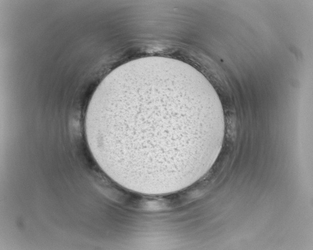 X0000114400510200911271519