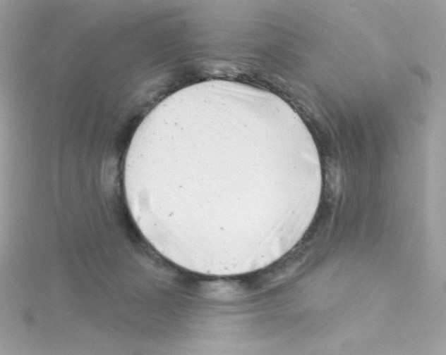 X0000114400511200911271519