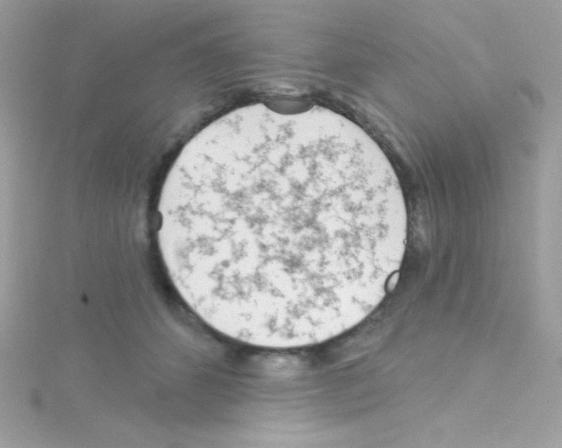 X0000114400512200911271519