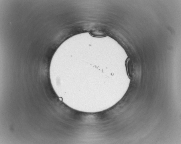 X0000114400513200911271519