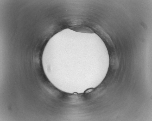 X0000114400516200911271519