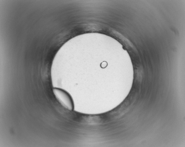 X0000114400517200911271519