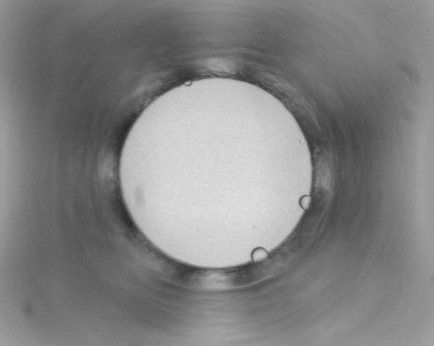 X0000114400518200911271519