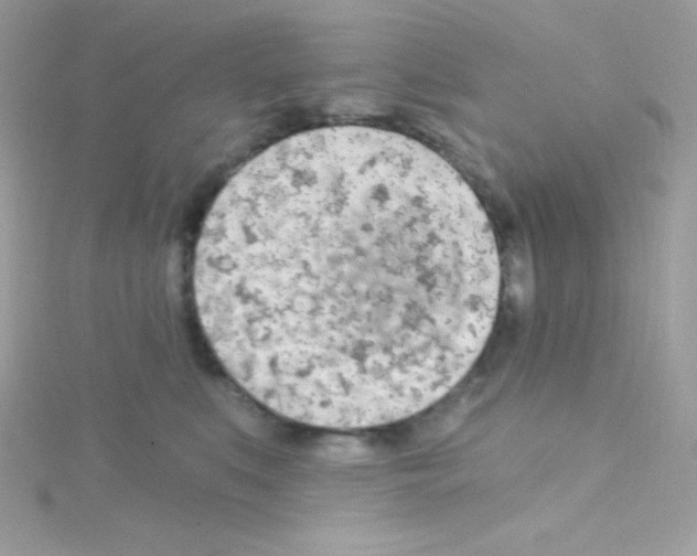 X0000114400519200911271519