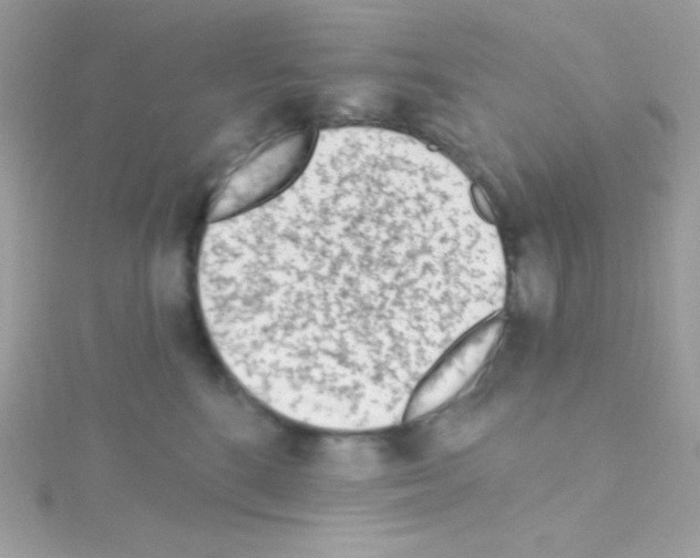 X0000114400520200911271519